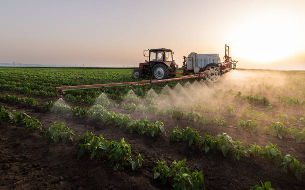 Best Pest Prevention Services  in Deridder, LA