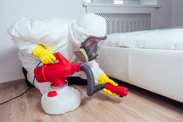 Best Pest Removal Services  in Deridder, LA