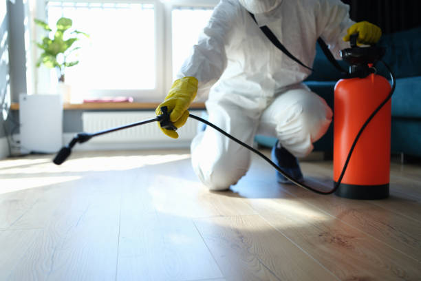Best Best Pest Control Companies  in Deridder, LA