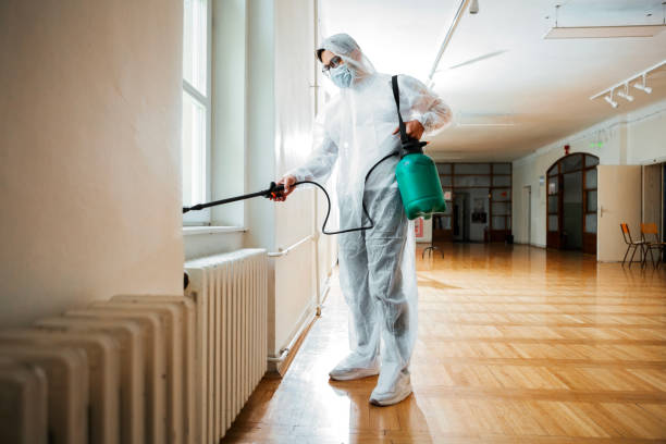Best Affordable Pest Control Services  in Deridder, LA