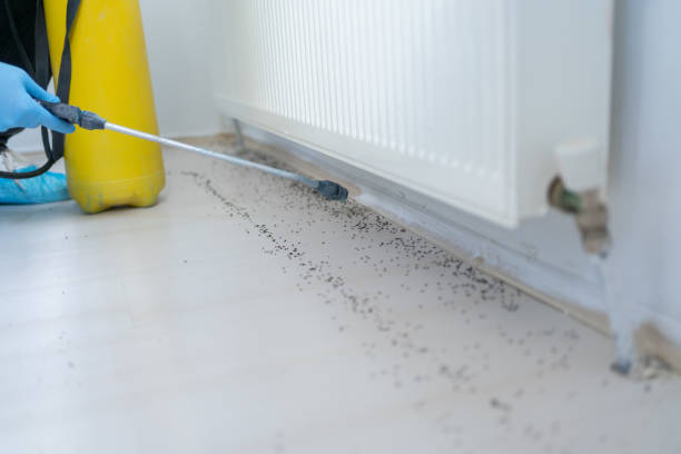 Best Commercial Pest Control Services  in Deridder, LA