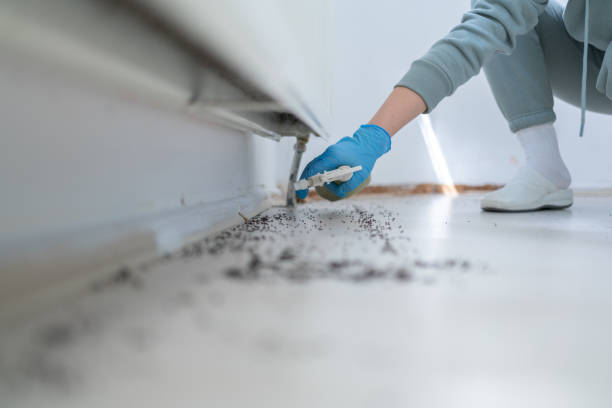 Best Best Pest Control Near Me  in Deridder, LA