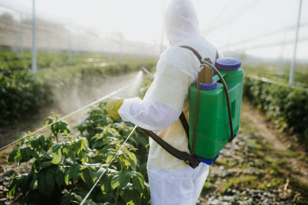 Best Cockroach Control Services  in Deridder, LA